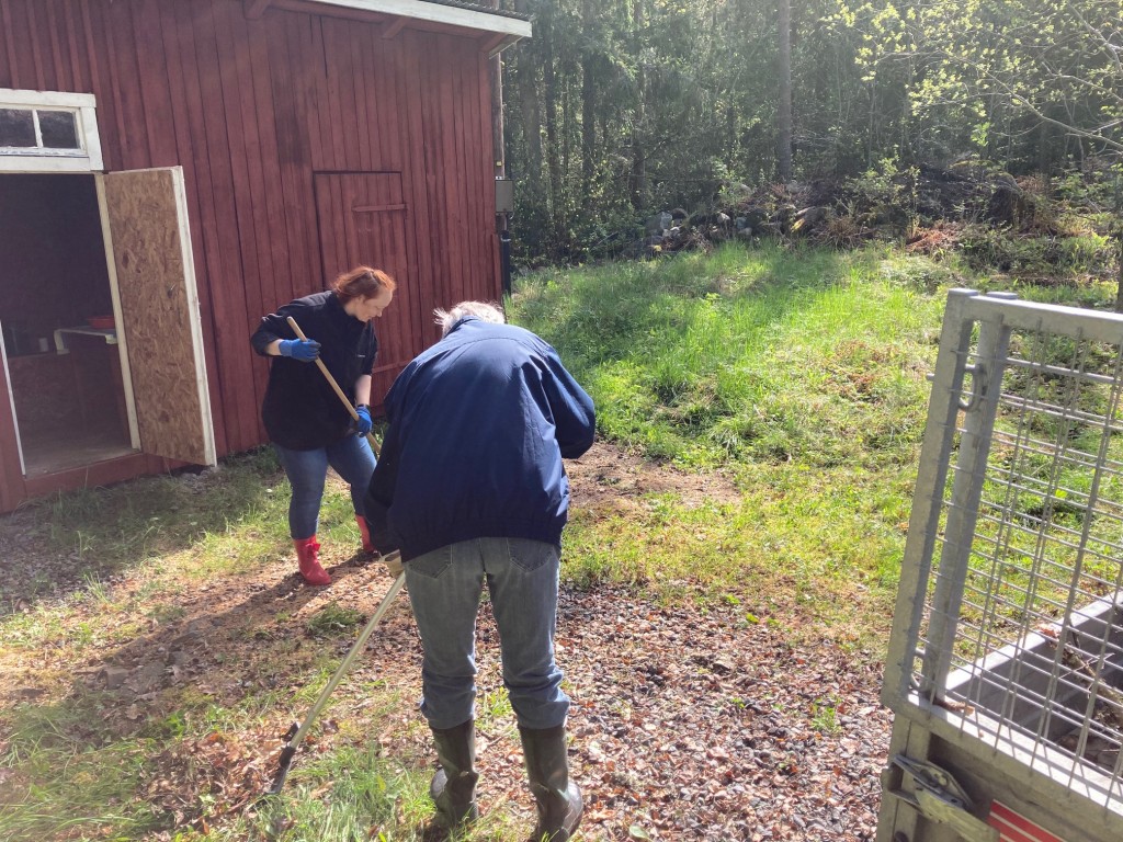 och räfsa ännu mer
