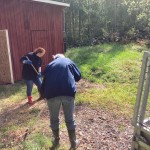 och räfsa ännu mer