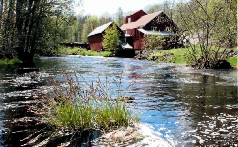 Vy från ån