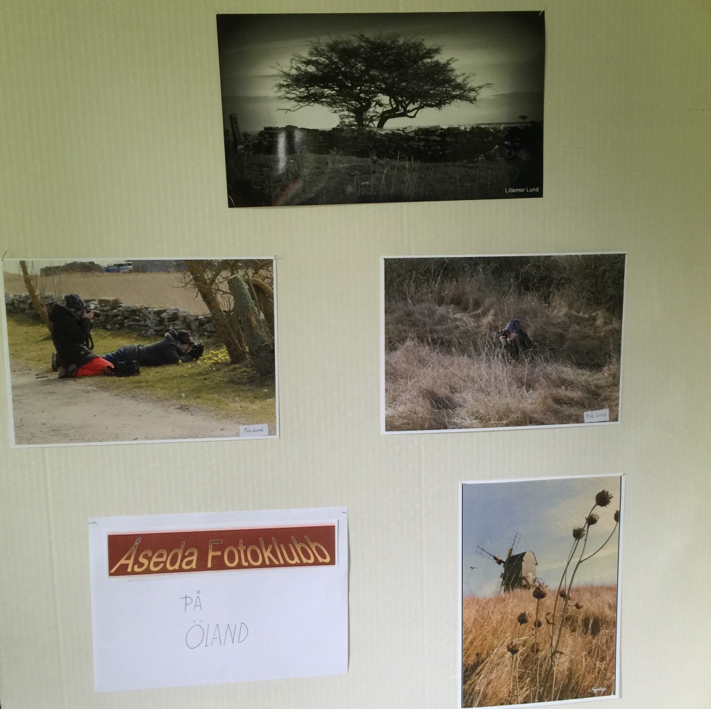 Bilder från fotoklubbens Ölandsresa