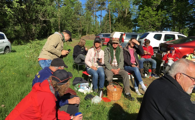 Stor uppslutning på årets gökotta