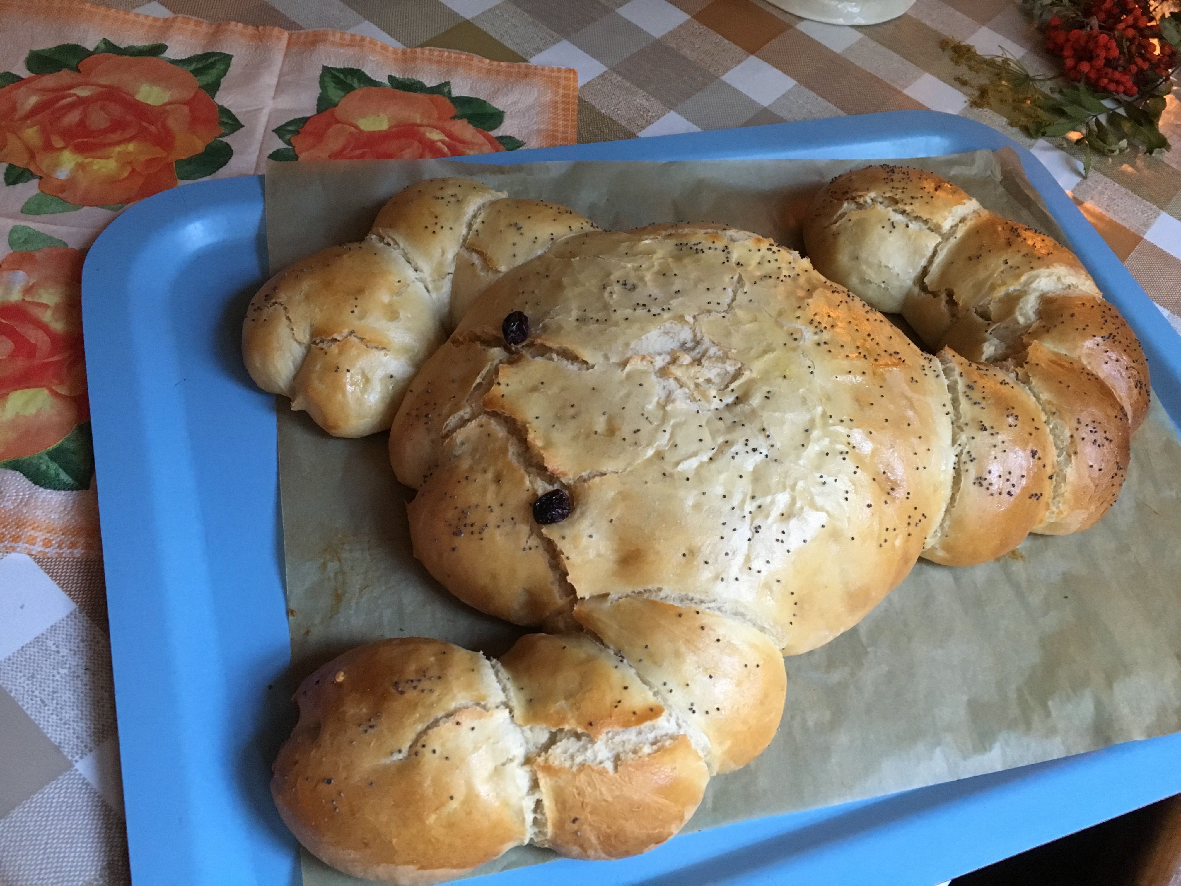Kräftfralla