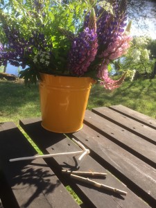 Visp av tall och pipor av sälg