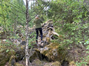 IMG_2352